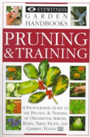 Pruning___training